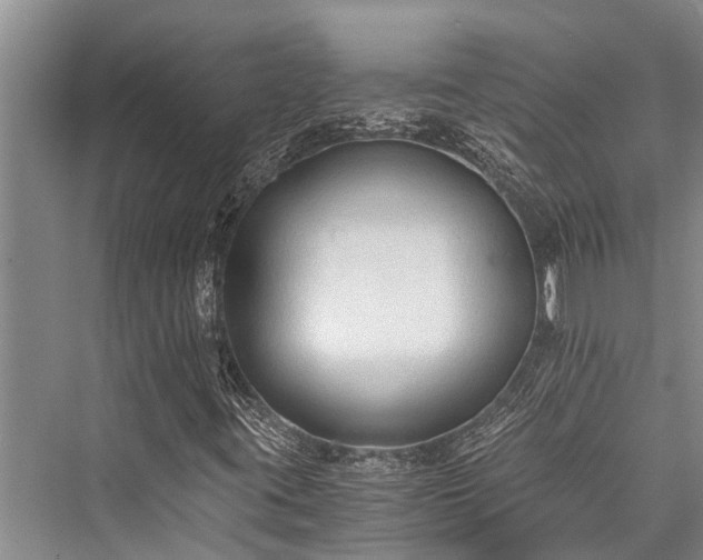 X0000076230099200610051119