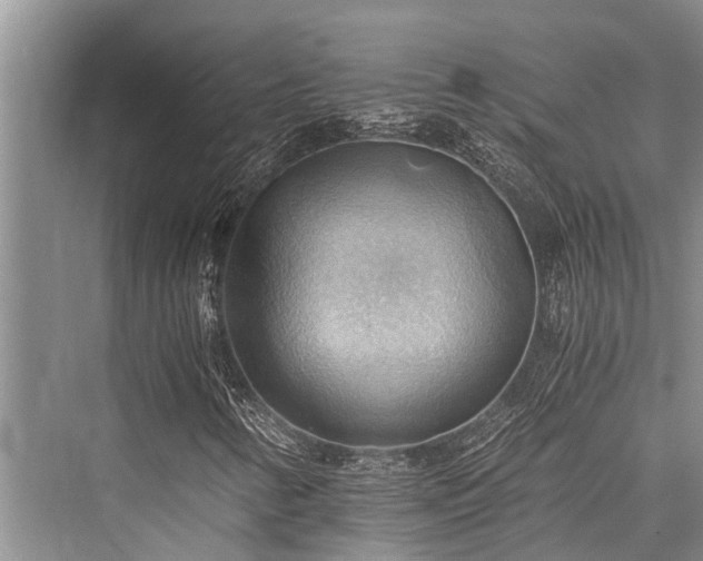 X0000076230146200610051120