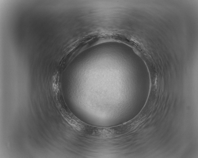 X0000076230148200610051120