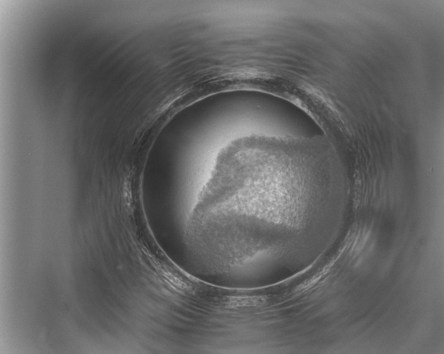 X0000076230201200610051120