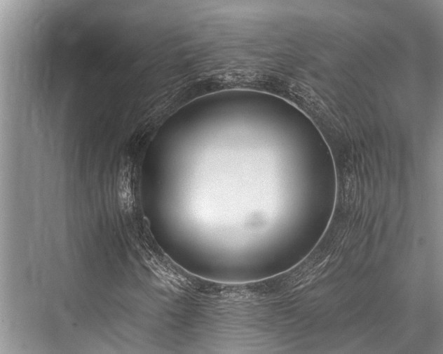 X0000076230242200610051122