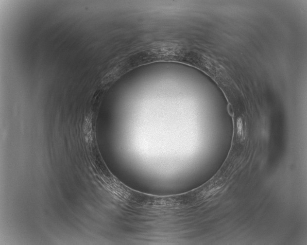 X0000076230291200610051122