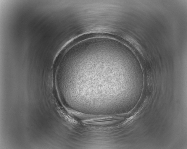 X0000076230445200610051125
