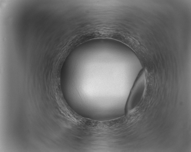 X0000076230481200610051125