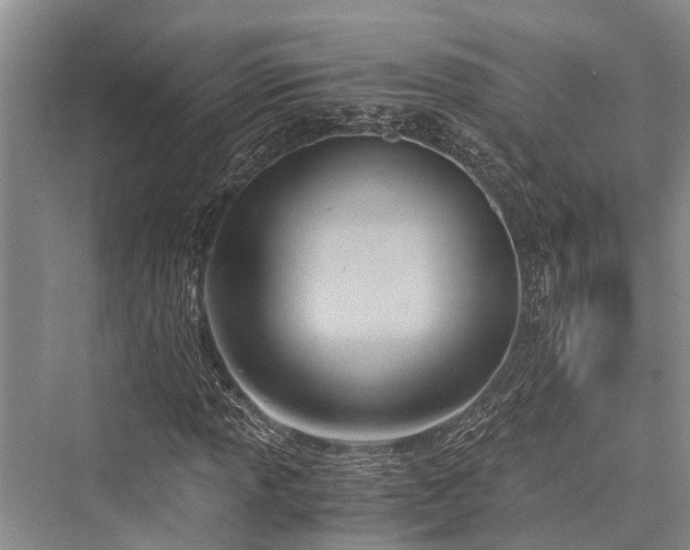 X0000076230485200610051125