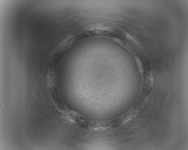 X0000076230486200610051125
