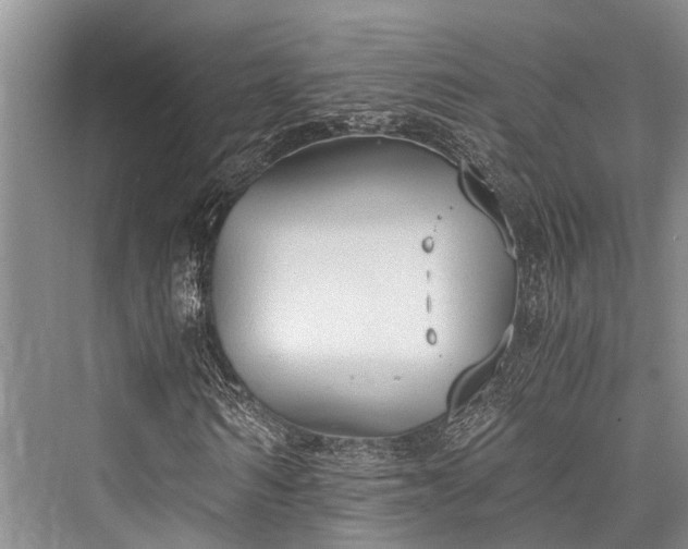 X0000076230530200610051127