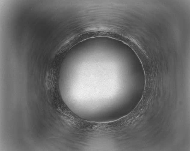 X0000076230535200610051127