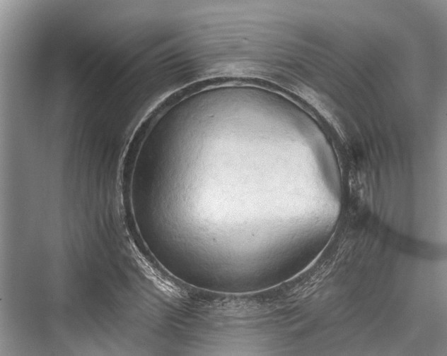 X0000076230540200610051126