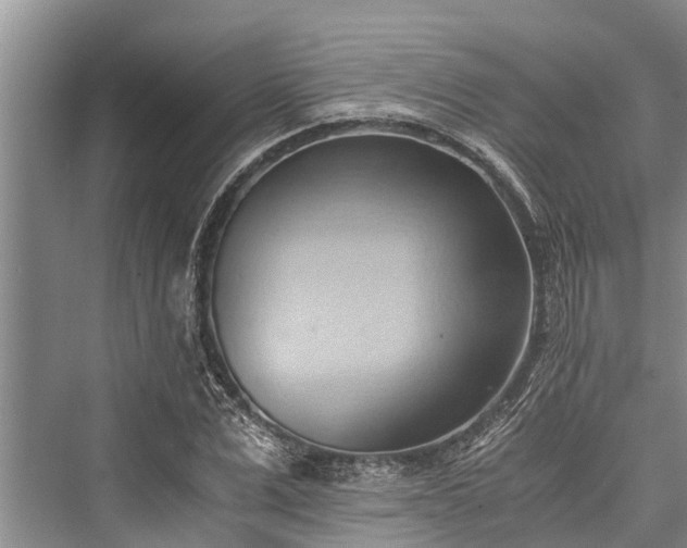 X0000076230543200610051126