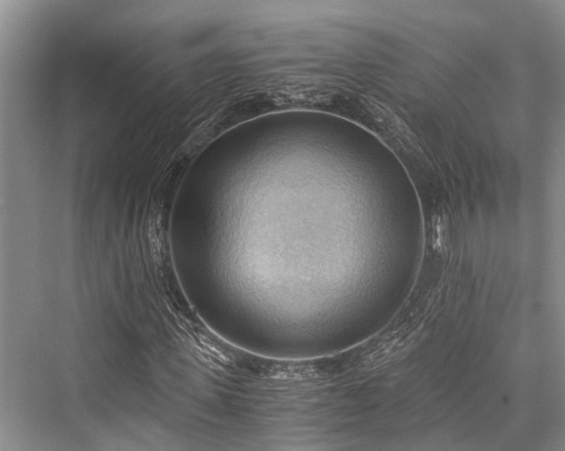 X0000076230579200610051127