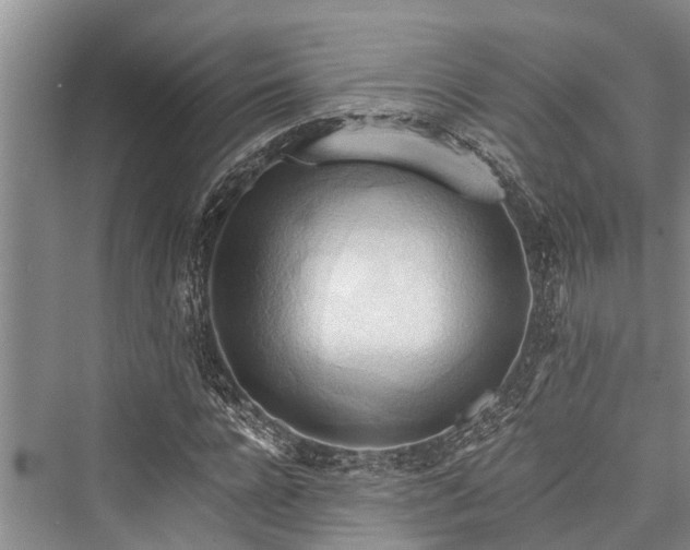 X0000076230584200610051127