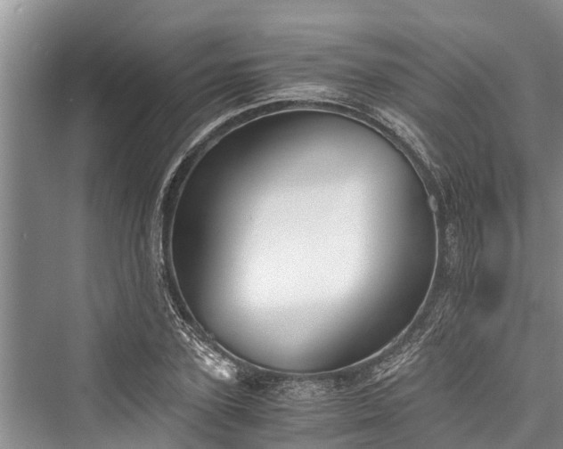 X0000076230595200610051127
