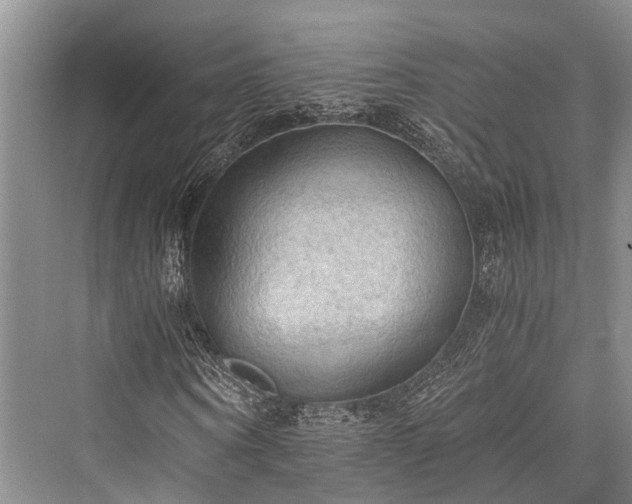 X0000076230626200610051128