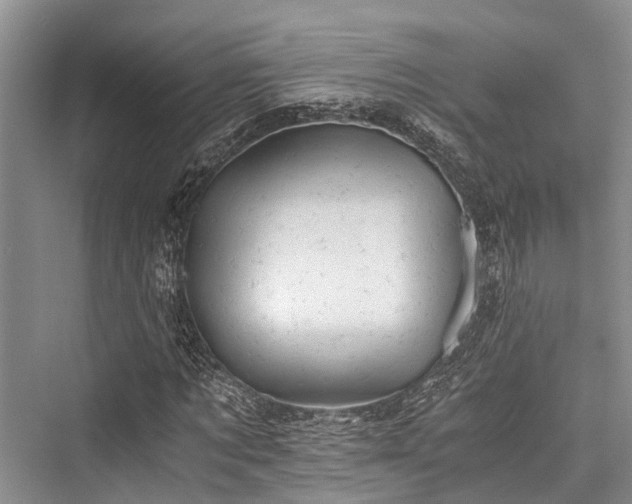 X0000076230629200610051128