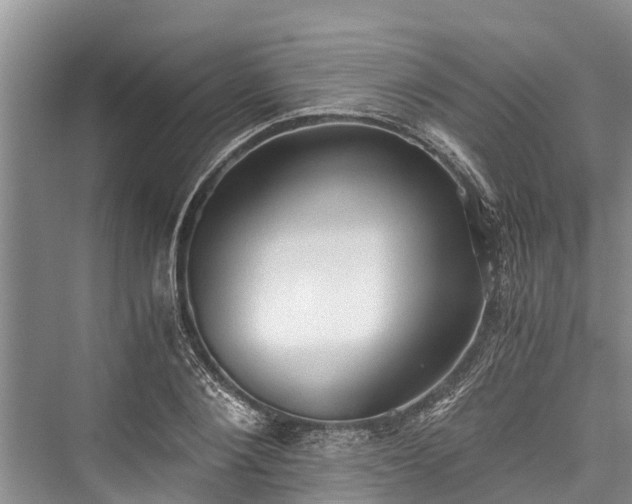 X0000076230644200610051128