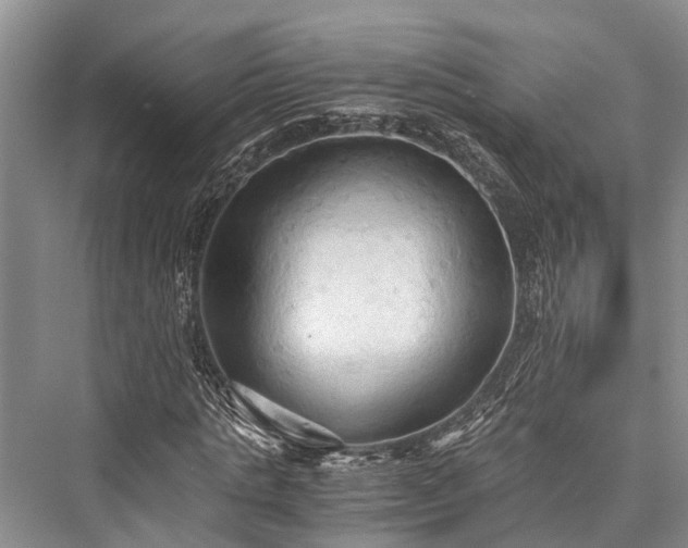 X0000076230677200610051128