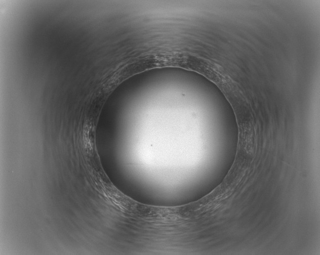 X0000076230722200610051130