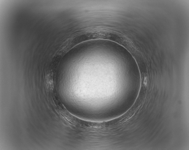 X0000076230723200610051130