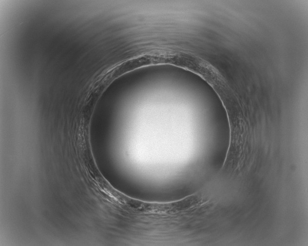 X0000076230725200610051130