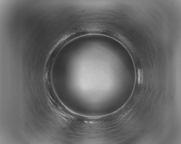 X0000076230771200610051130