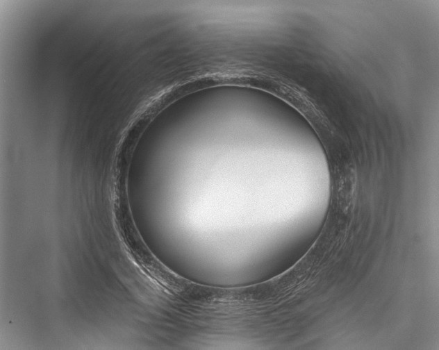 X0000076230780200610051130