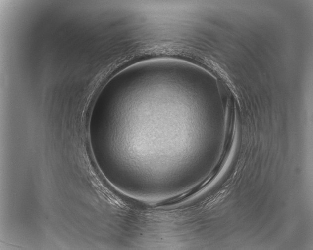X0000076230817200610051132