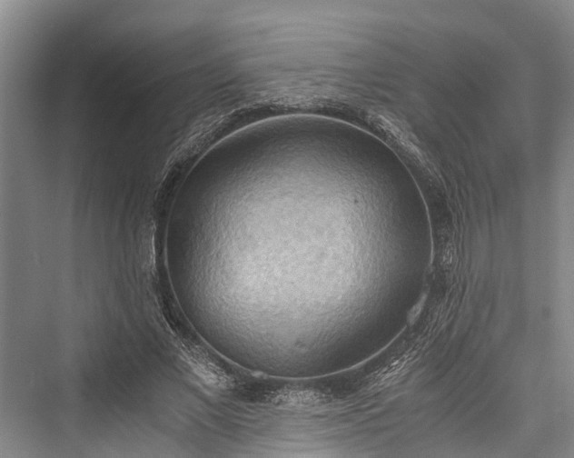 X0000076230829200610051131