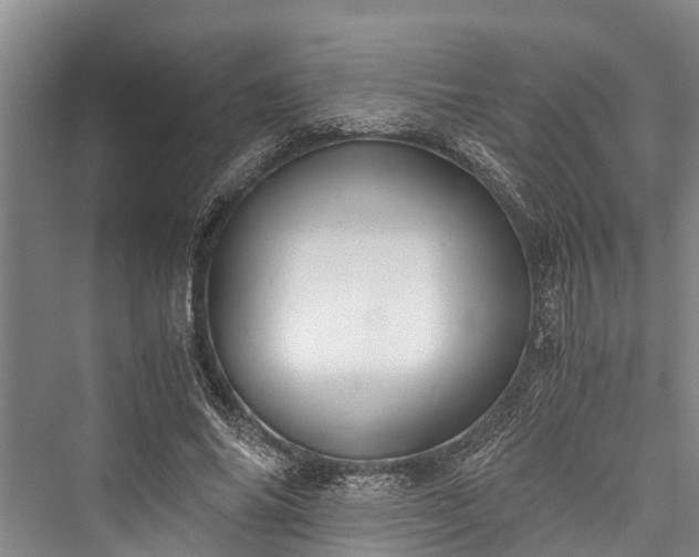 X0000076230830200610051131