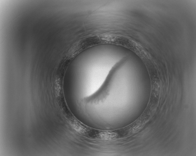 X0000076230851200610051131