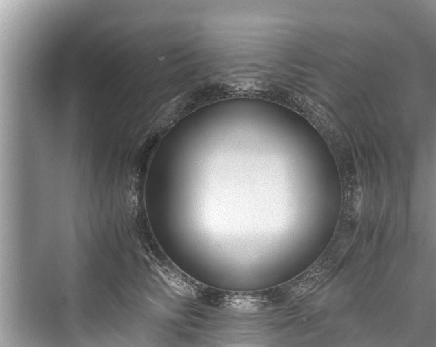 X0000076230854200610051131