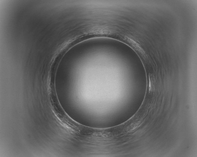 X0000076230867200610051132