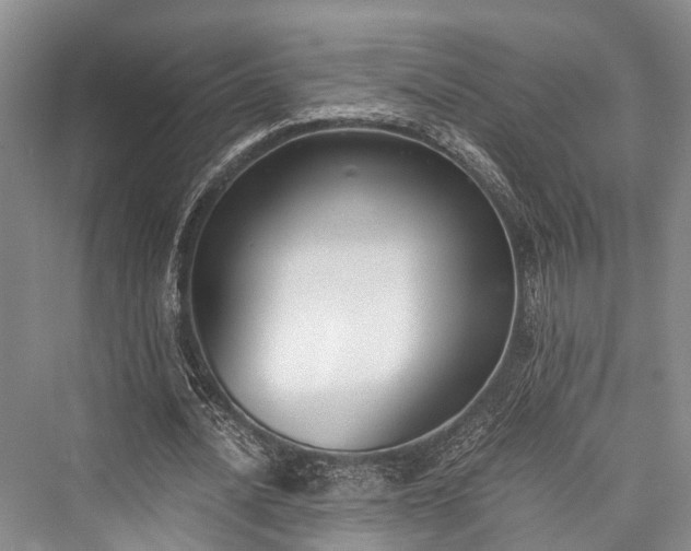 X0000076230868200610051132