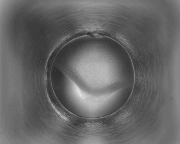 X0000076230870200610051132