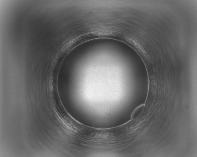 X0000076230871200610051132