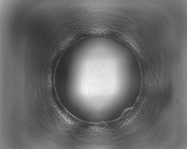 X0000076230873200610051132