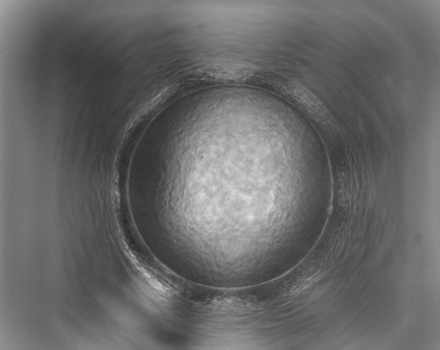 X0000076230874200610051132