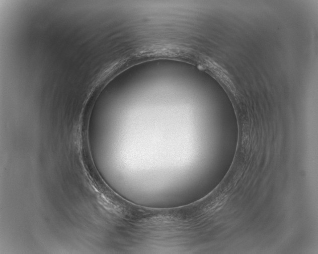 X0000076230914200610051133