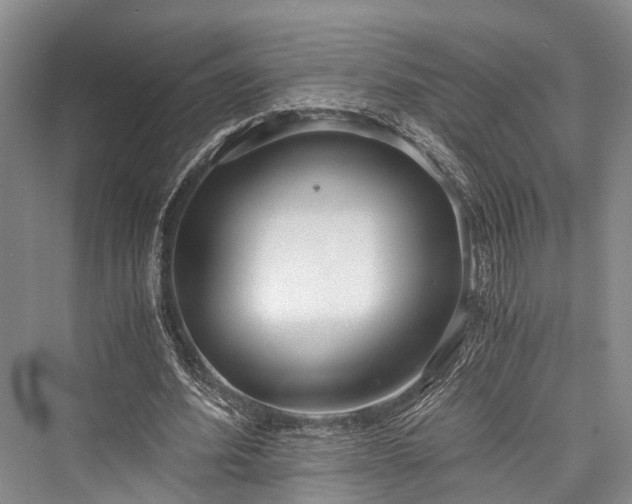 X0000076230916200610051133