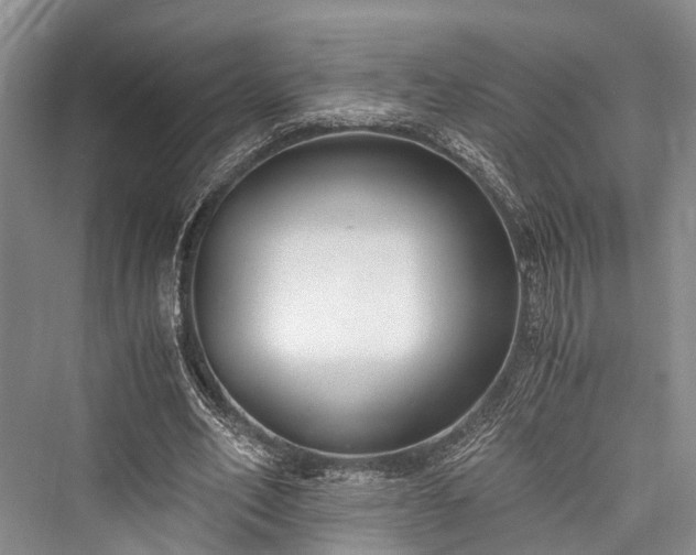 X0000076230918200610051133