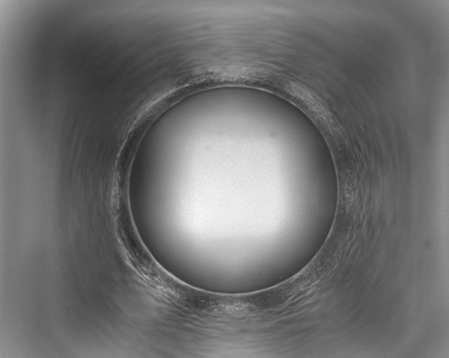 X0000076230919200610051133