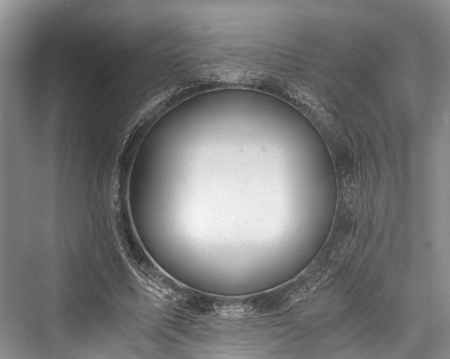 X0000076230923200610051133