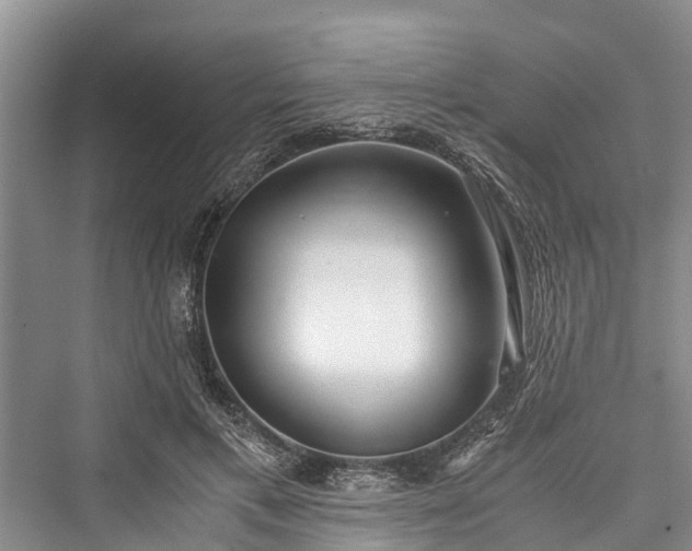 X0000076230933200610051133