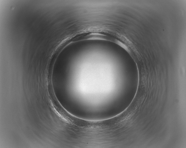 X0000076230962200610051133