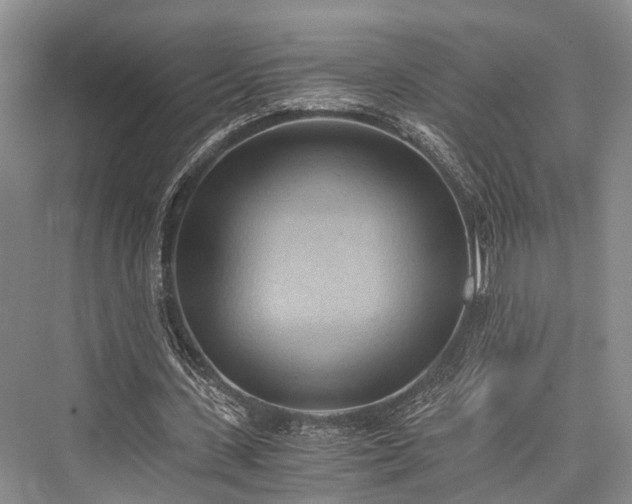 X0000076230963200610051133