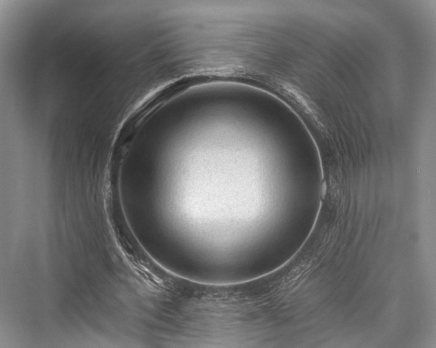 X0000076230964200610051133