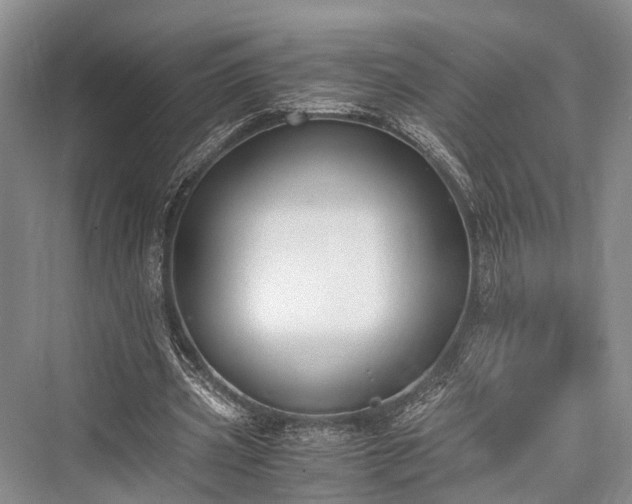 X0000076230965200610051133