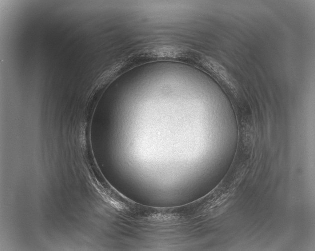 X0000076230969200610051133