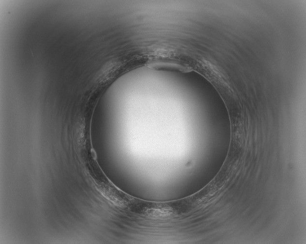 X0000076230980200610051133