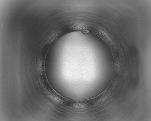 X0000076230981200610051134